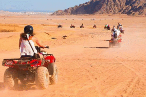 3-hour evening family safari
