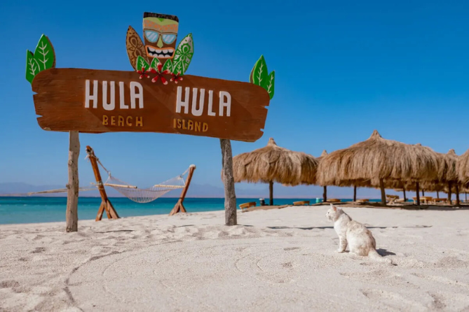 Wyspa Hula Hula